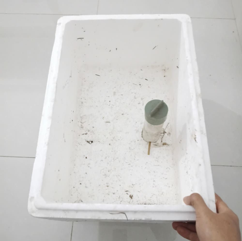 Nuoi trun que trong thung