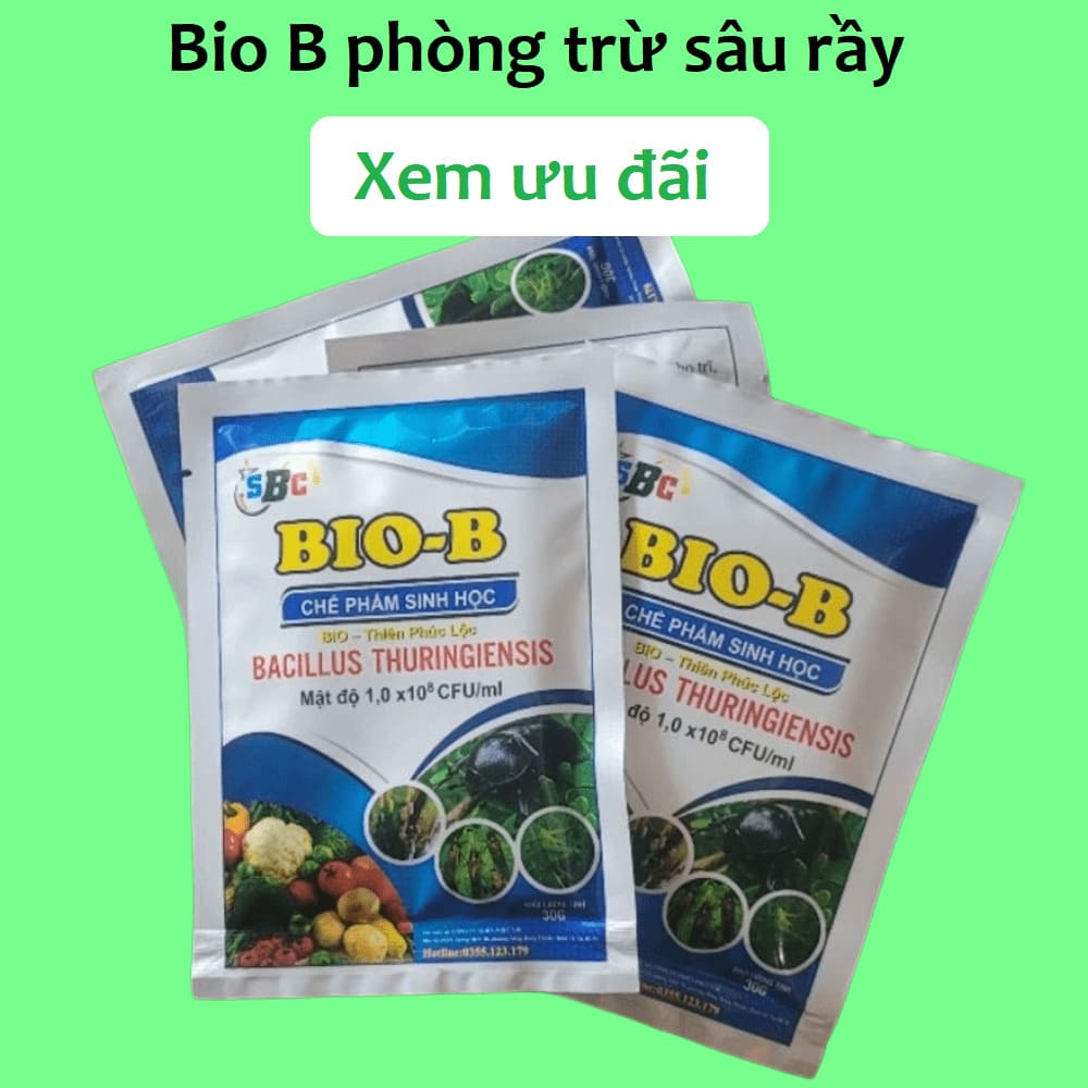 Bio B phòng sâu rầy