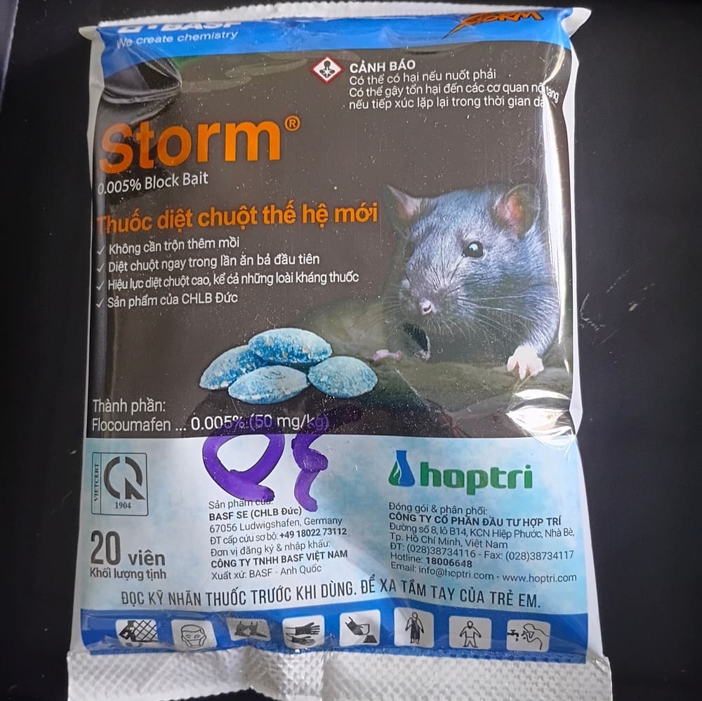 Storm