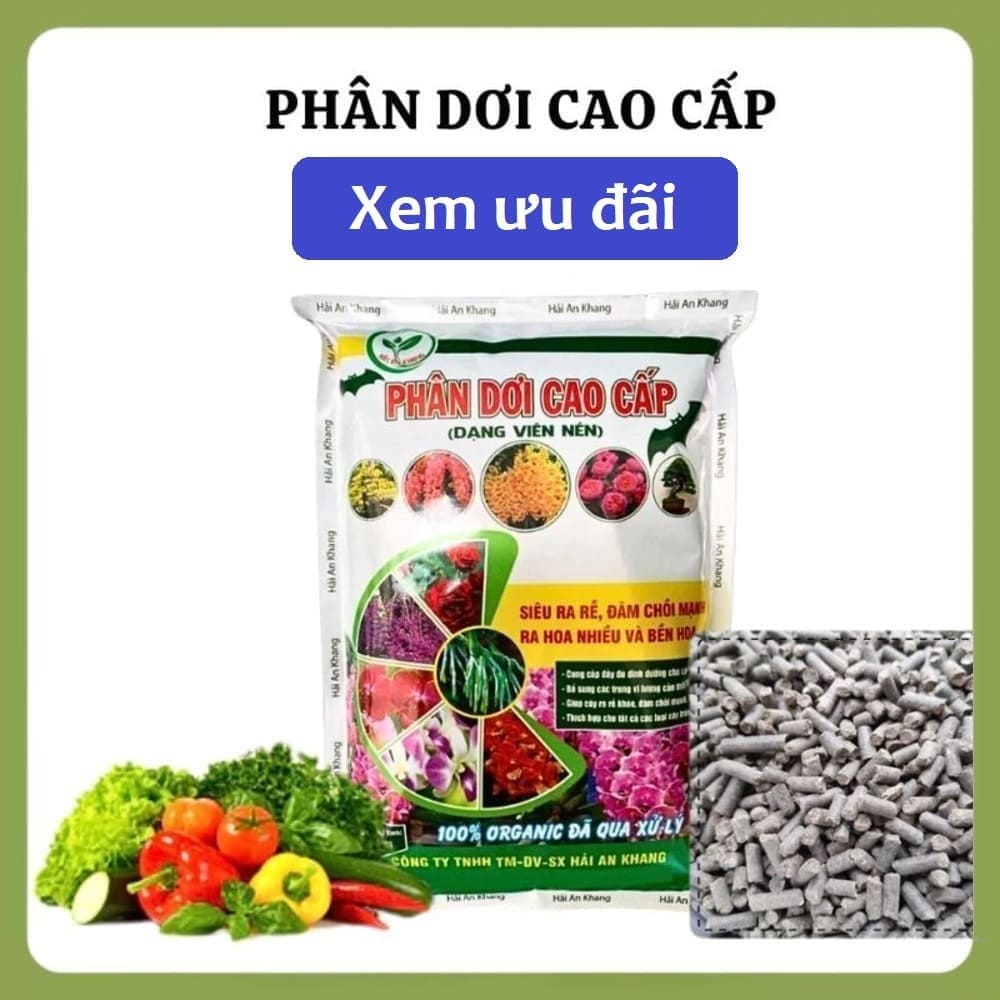 phân dơi