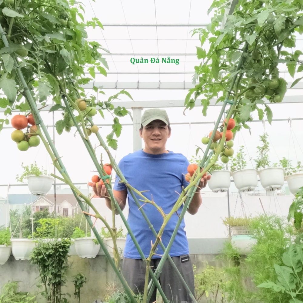 quân đà nẵng