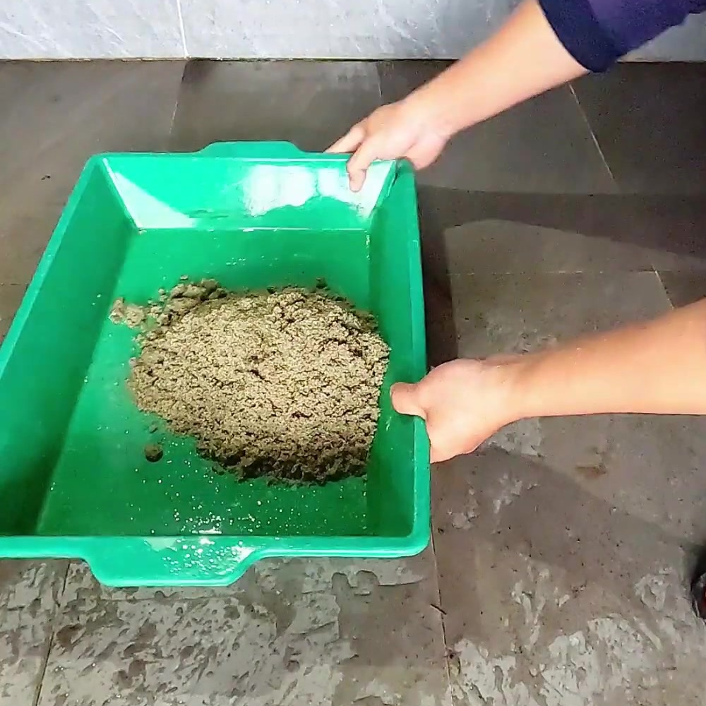 cách làm giá đỗ