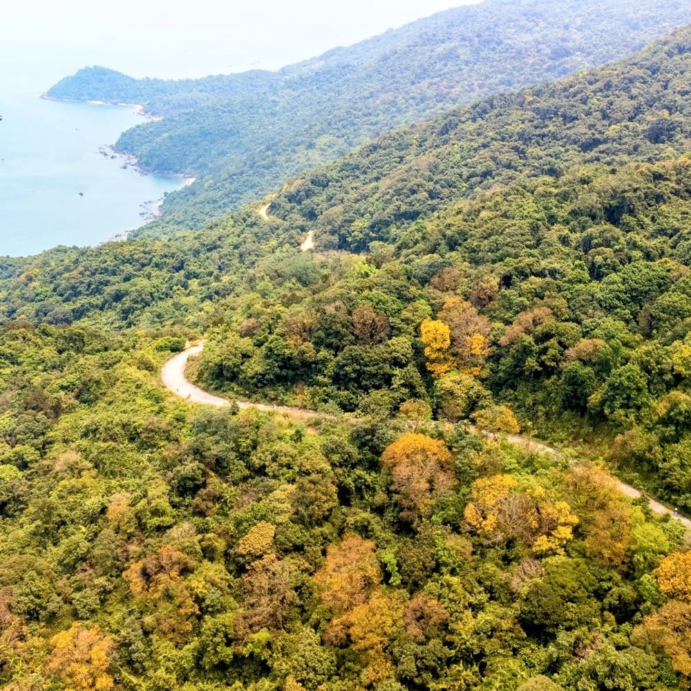 Tour Đà Nẵng và Hội An 3 Ngày 2