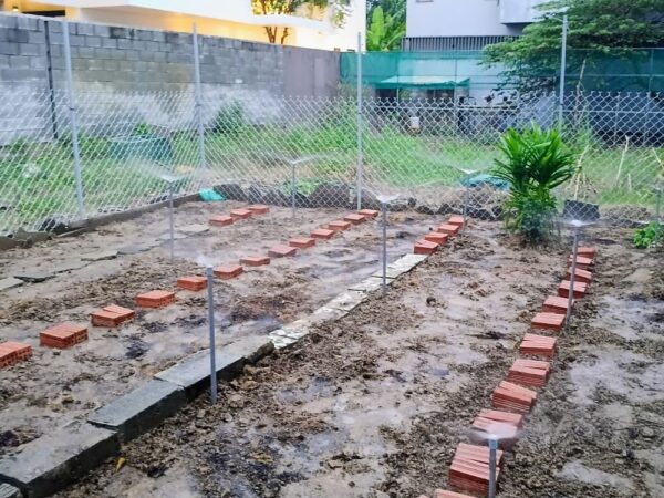 cai tao dat trong rau