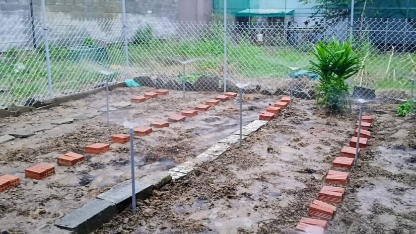 Cải tạo đất trồng rau hữu cơ và lắp đặt hệ thống phun nước tưới rau tự động 1 cai tao dat trong rau