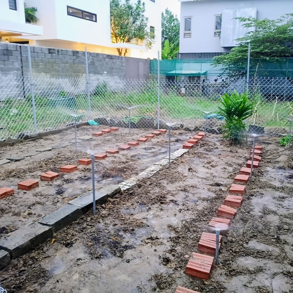 Cải tạo đất trồng rau hữu cơ và lắp đặt hệ thống phun nước tưới rau tự động 3 cải tạo đất trồng rau
