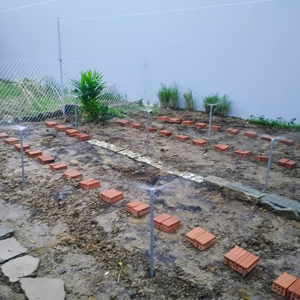 Cải tạo đất trồng rau hữu cơ và lắp đặt hệ thống phun nước tưới rau tự động 2 lap dat he thong phun nuoc tuoi rau tu dong