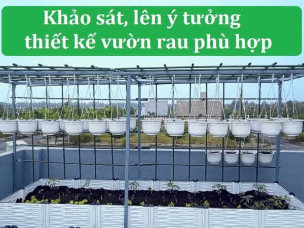 Khao sat len y tuong thiet ke vuon rau theo yeu cau