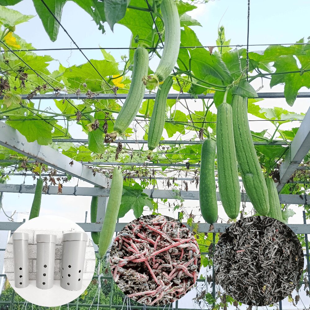 Cách ủ rác nhà bếp làm phân bón đơn giản không hôi và cải tạo đất để có những lứa rau bội thu 2 cách ủ rác nhà bếp