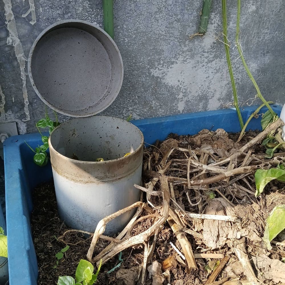 Cách ủ rác nhà bếp